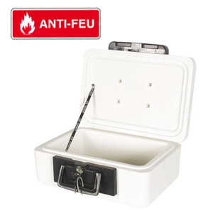 coffre ignifug portable - mallette pour protection contre incendie anti feu