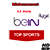Rabonnement beIN Arabia - Access + Top Sports package - 12 mois via ESHAILSAT 25.5 E / Nilesat 7 W